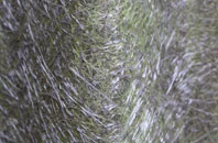 Muggintonlane End fibreglass roof work